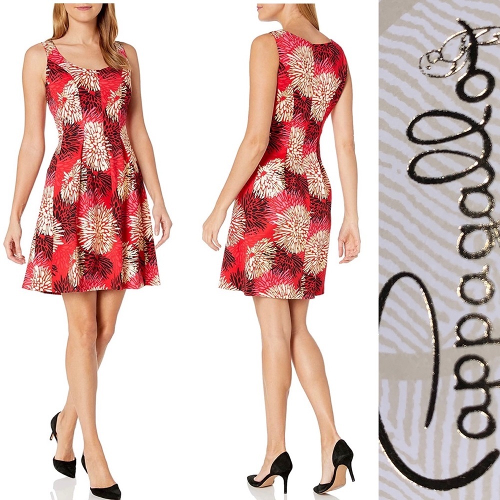 🆕 Pappagallo Women's The Carrot Dress